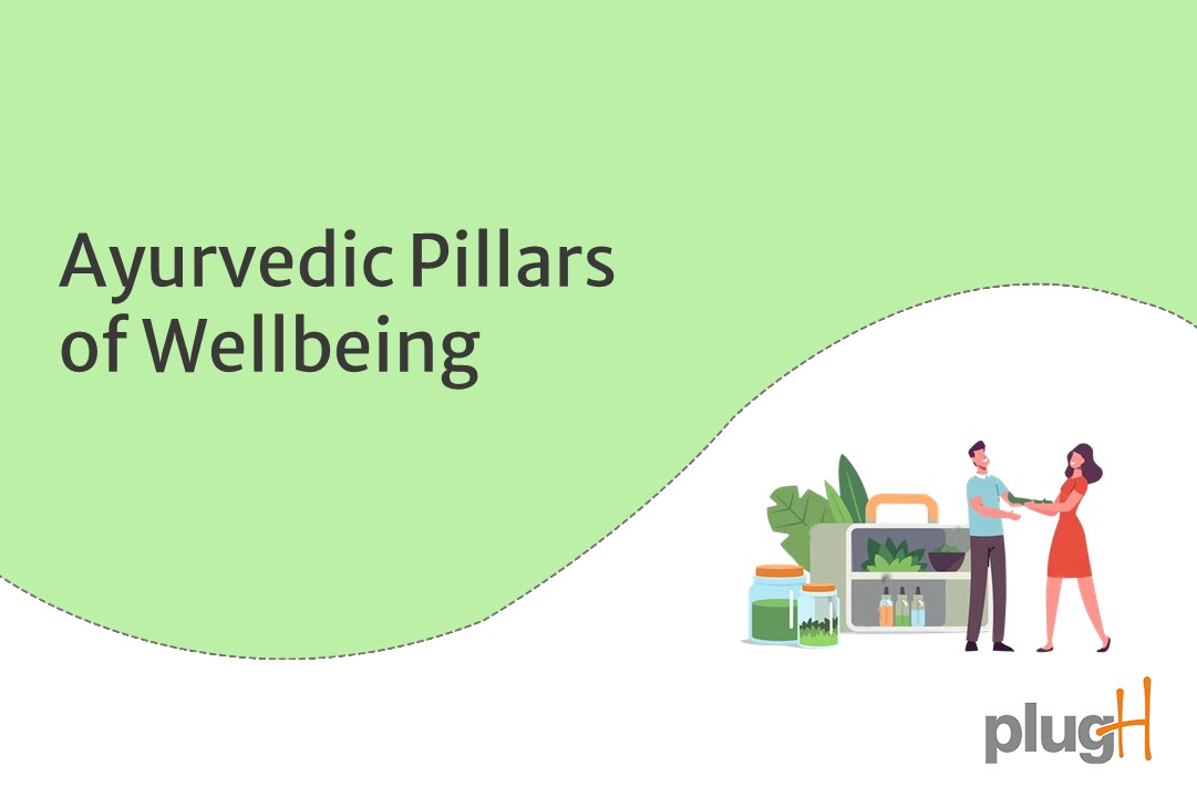 You are currently viewing Ayurvedic Pillars of Wellbeing