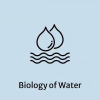 Biology of water. rewiring for resilience